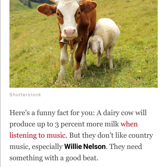 🐿# 2 Like NEW FOLLOW GAME-listing #3 🐿 - Picture 8 of 16